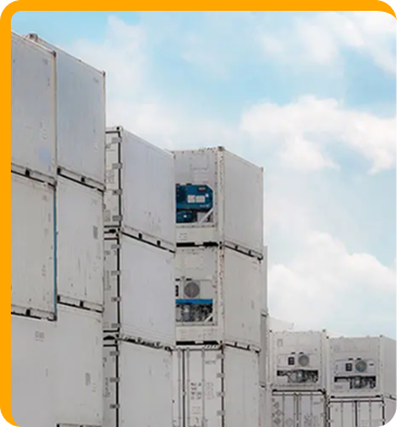 Cold Chain Logistics service operations