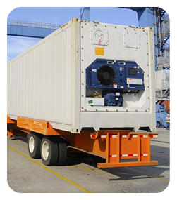 Cold Chain Logistics logistics execution