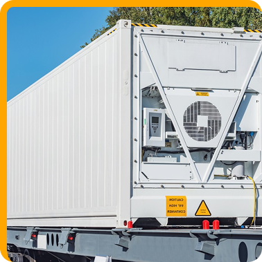 Cold Chain Logistics logistics support