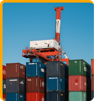 Sea Freight service operations